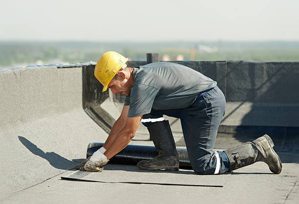 Best Cellulose Insulation in Canon, GA