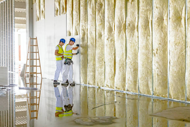 Types of Insulation We Offer in Canon, GA
